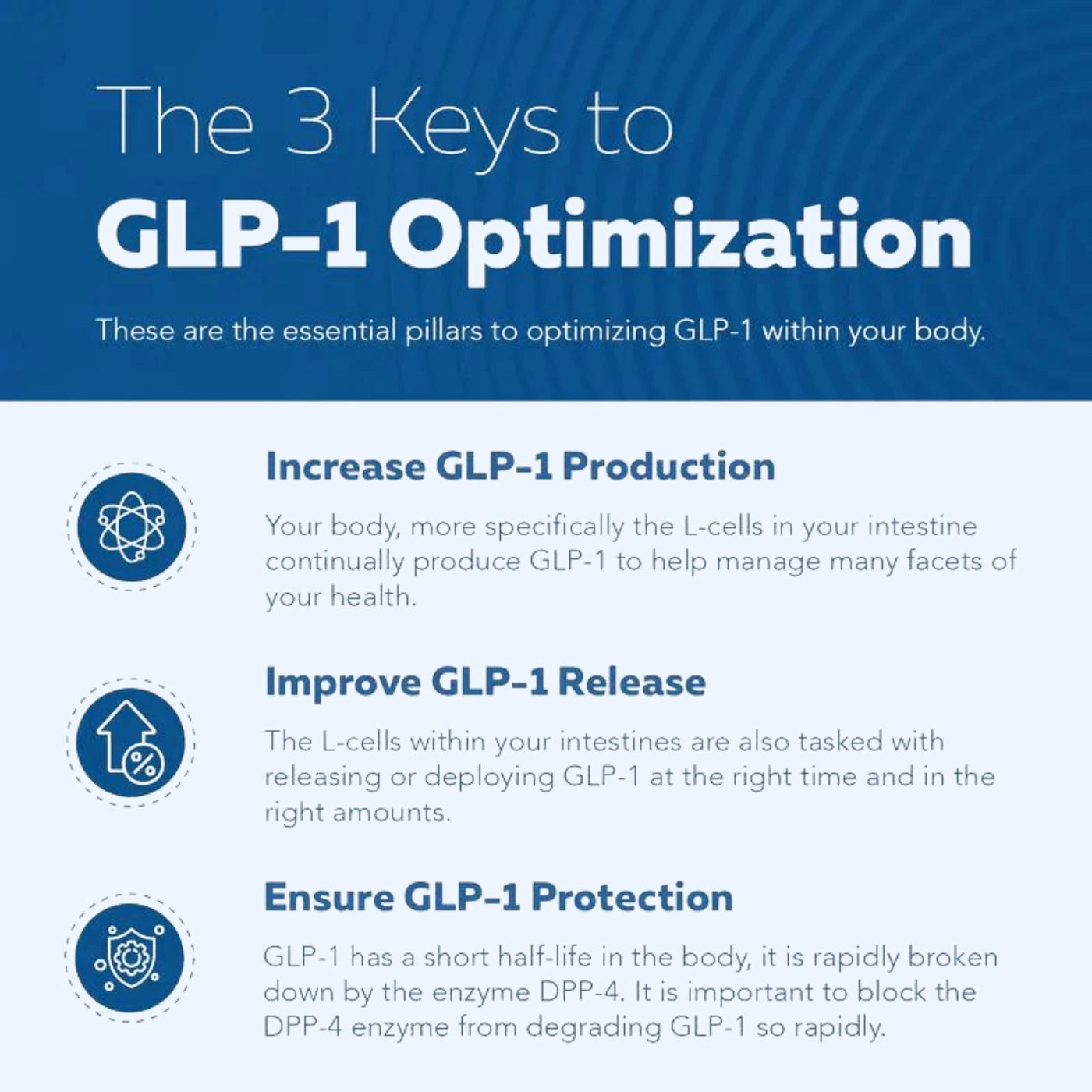 Natural GLP-1 Support (90 Capsules)